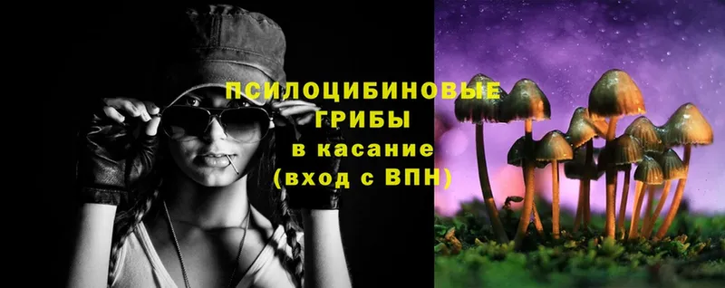 Галлюциногенные грибы Psilocybe  Остров 